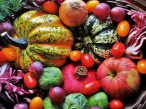 Immagine per la categoria Frutti & Deco ***🎄 SPECIALE NATALE 2025