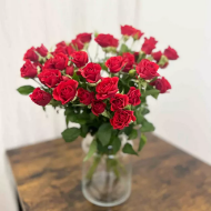 Image de Rosa 