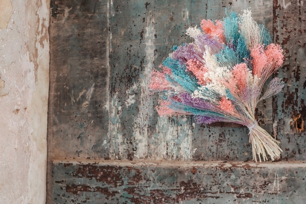 Image de BROOM BLOOM COLOR
