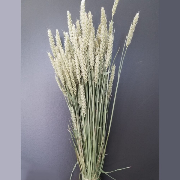 Picture of GRANO NATURALE