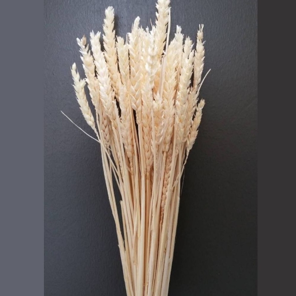 Image de GRANO SBIANCATO