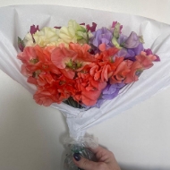 Picture of FIORI DI PISELLO ODOROSO MIX (LATHYRUS)