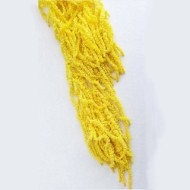 Picture of AMARANTO COLOR
