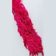 Picture of AMARANTO COLOR