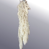Picture of AMARANTO SBIANCATO