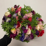 Image de ANEMONE EXTRA (prezzo a stelo)