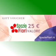 Picture of CARTA REGALO 25