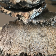 Picture of CORTECCIA SUGHERO NATURALE