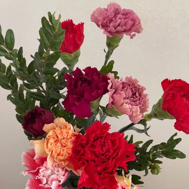 Agrandir l'image de GAROFANO (DIANTHUS) Image de GAROFANO (DIANTHUS)