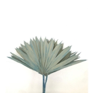 Immagine di PALM SUN cream