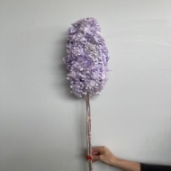 Immagine di ORTENSIA STABILIZZATA PANICULATA 65/70 cm