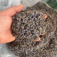 Image de FIORI DI LAVANDA