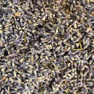 Image de FIORI DI LAVANDA