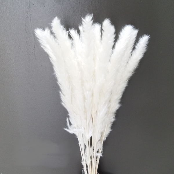 Immagine di FLUFFY REED SBIANCATO / COL. ROSA