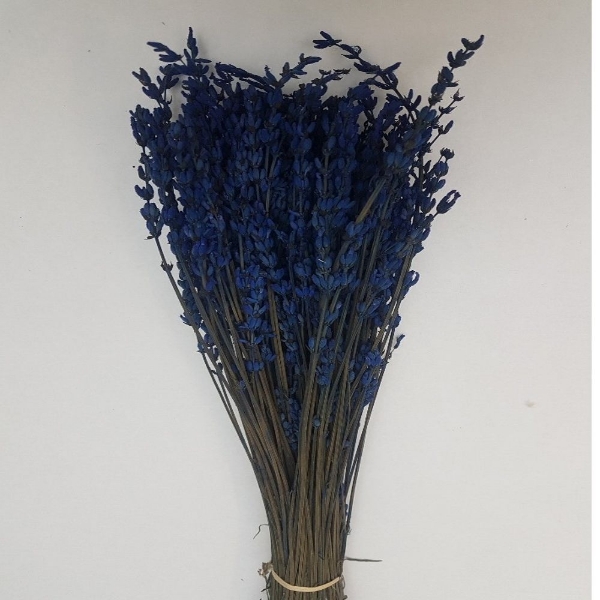 Image de LAVANDA STABILIZZATA