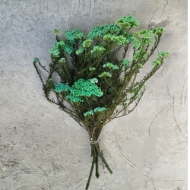 Immagine di RICE FLOWER  STABILIZZATO COLORATO