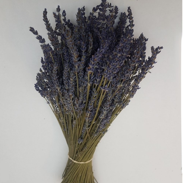 Show details for LAVANDA SECCA Picture of LAVANDA SECCA