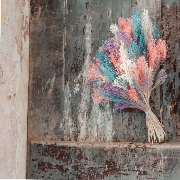 Immagine di BROOM BLOOM COLOR