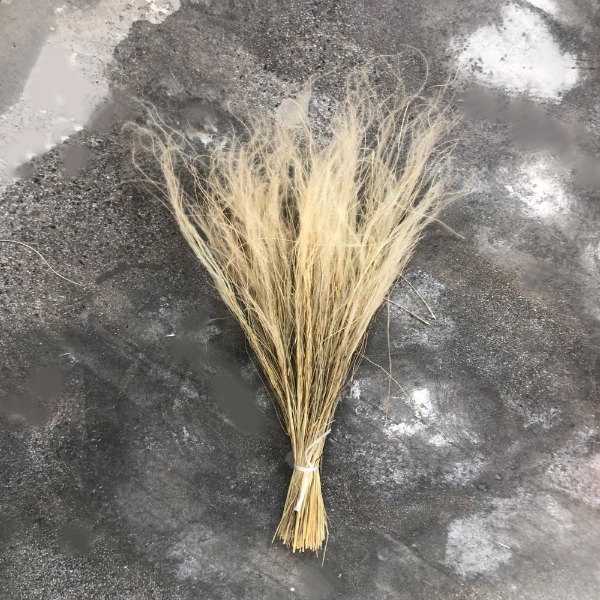 Immagine di STIPA NATURALE 