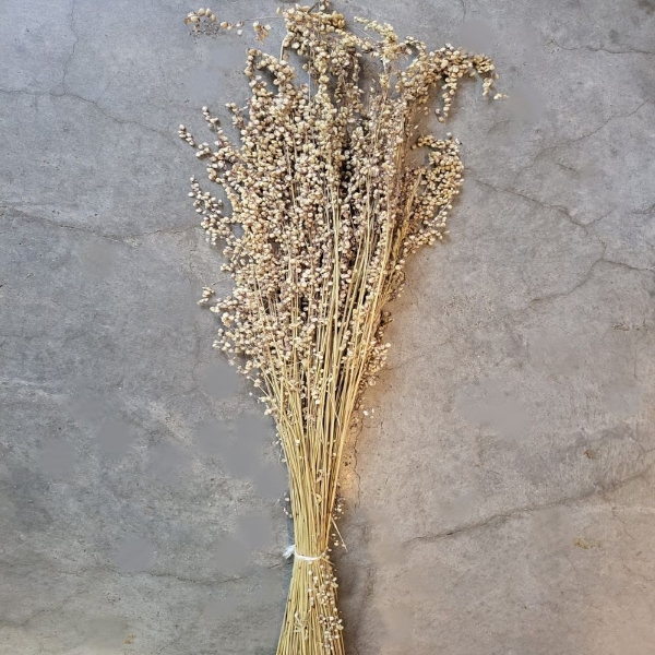 Image de BRIZA SALINO NATURALE