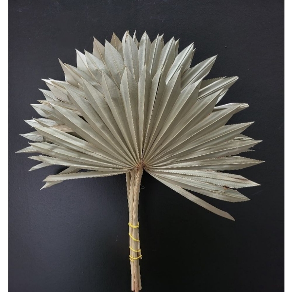 Picture of PALM SUN NATURALE