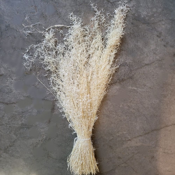 Immagine di BRIZA SEGRO SBIANCATA