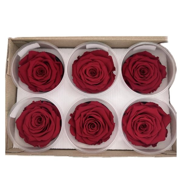 Picture of ROSA STABILIZZATA