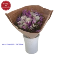 Image de BOUQUET  FANTASY  ESSENTIAL 