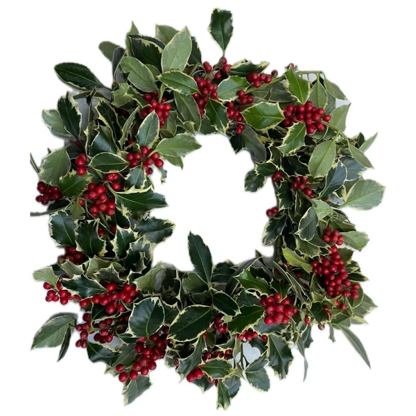 Image de CORONCINE  DECORATIVE NATURALI