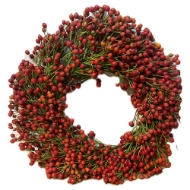 Image de CORONCINE  DECORATIVE NATURALI