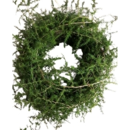 Image de CORONCINE  DECORATIVE NATURALI