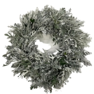 Image de CORONCINE  DECORATIVE NATURALI