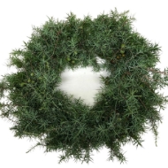 Image de CORONCINE  DECORATIVE NATURALI