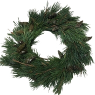 Image de CORONCINE  DECORATIVE NATURALI