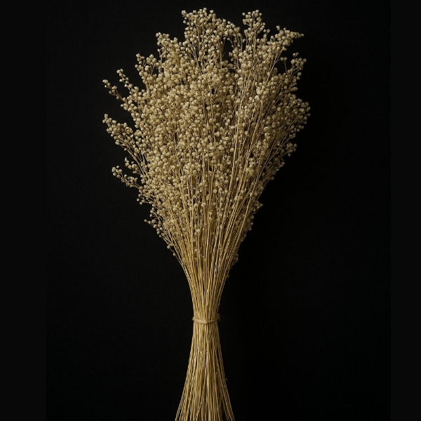 Picture of BRIZA SALINO NATURALE / SBIANCATO