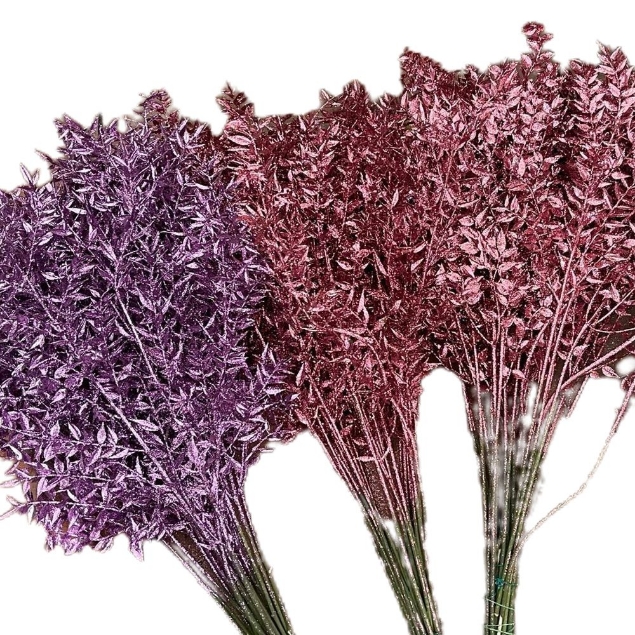 Show details for PUNGITOPO BRILLANTINATO (RUSCUS ACULEATUS)  Picture of PUNGITOPO BRILLANTINATO (RUSCUS ACULEATUS)