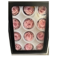 Picture of ROSA STABILIZZATA