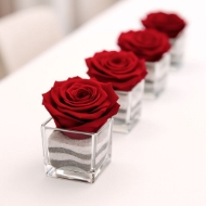 Picture of ROSA STABILIZZATA