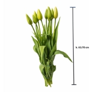 Immagine di TULIPANI (PRODUZIONE FRANCIA)