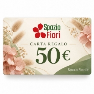 Picture of CARTA REGALO 50