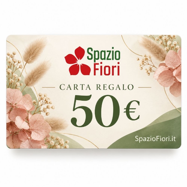 Picture of CARTA REGALO 50