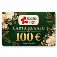 Picture of CARTA REGALO 100