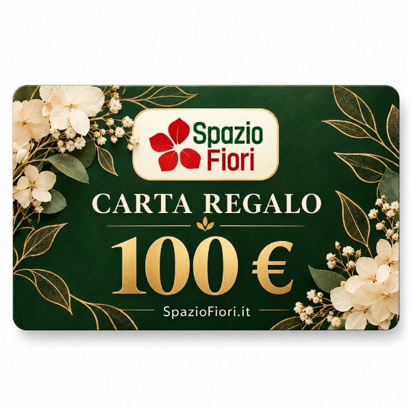 Picture of CARTA REGALO 100