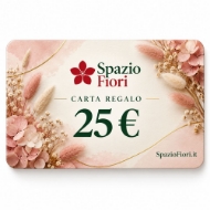 Picture of CARTA REGALO 25